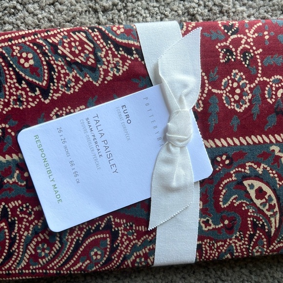 BRAND NEW Pottery Barn Talia Paisley Euro Sham - Picture 2 of 6